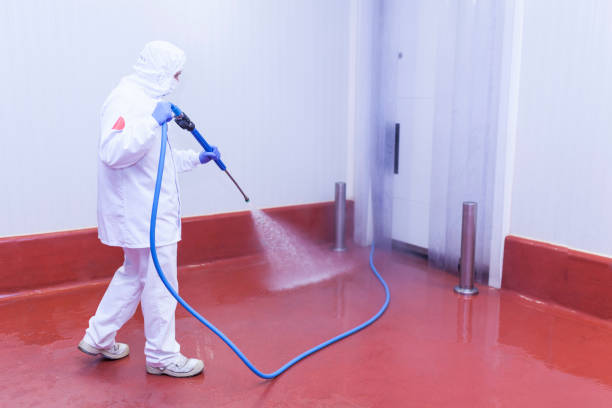 Professional  Pressure Washing Services in Pickens, MS