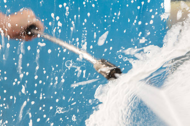 Best Roof Washing  in Pickens, MS