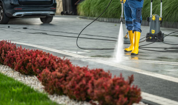 Best Patio and Deck Pressure Washing  in Pickens, MS