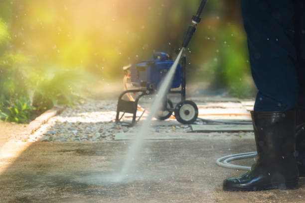 Best Residential Exterior Washing  in Pickens, MS
